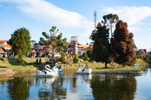 Sao Paulo Brazil Park