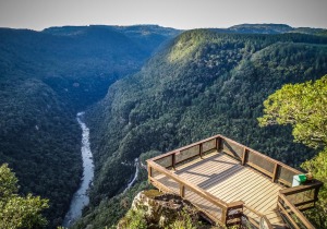 Canela Brazil Nature Reserve