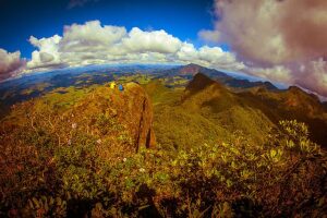 Campos Gerais Brazil National Park