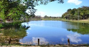 Minas Gerais Brazil Park
