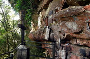 Campina Grande do Sul Brazil Nature Reserve