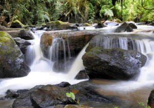 Camanducaia Brazil Rock Formation