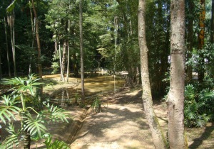 Caieiras Brazil Forest Reserve
