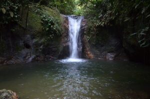 Cachoeiras de Macacu Brazil Waterfall