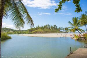 Bahia Brazil Beach