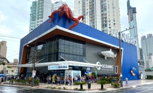 Balneario Camboriu Brazil Aquarium