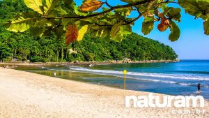 Aracruz Brazil Beach