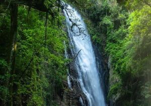 Apiai Brazil Waterfall