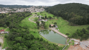 Almirante Tamandare Brazil Forest Reserve