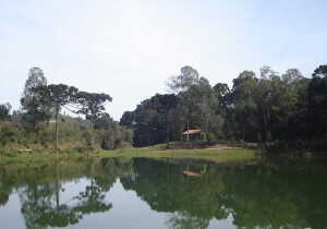 Parana Brazil Waterfall