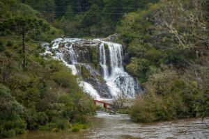 Alagoinhas Brazil Waterfall