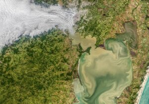 Guaiba Brazil Lagoon