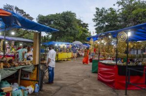 Palmas Brazil Market