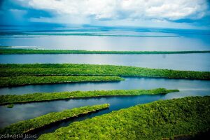 Manacapuru Brazil National Park