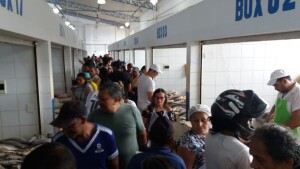Cruzeiro do Sul Brazil Market