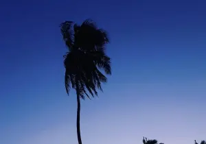 Boa Vista Brazil Beach