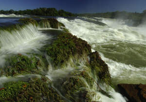 Aripuana Brazil National Park