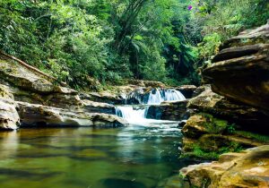 Ouro Preto do Oeste Brazil Nature Reserve