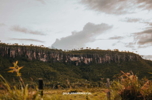 Guajara Mirim Brazil National Park