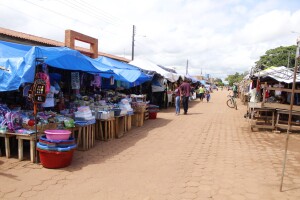 Guajara Mirim Brazil Market