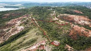 Pernambuco Brazil Park