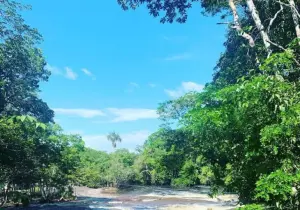 Amazonas Brazil Waterfall