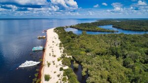 Amazonas Brazil National Park