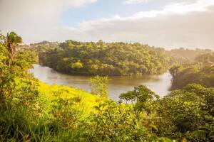 Bahia Brazil Park