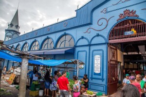 Para Brazil Market
