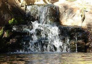 Palapye Botswana Natural Hot Springs