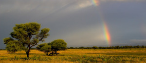 Mahalapye Hot Springs