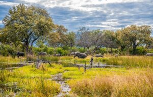 Janeng Botswana Wildlife Reserve