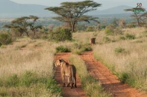 Francistown Botswana Nature reserve