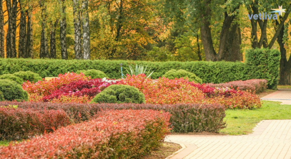 Minsk Botanical Garden