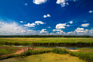 Kobryn Belarus National Park