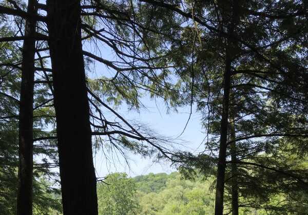Rouge National Urban Park