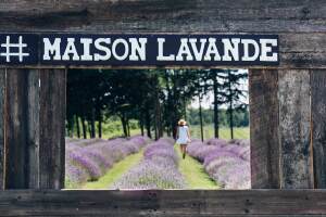 Maison Lavande