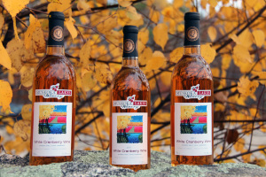 Bracebridge Canada Lake