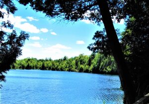Professor's Lake Recreation Centre