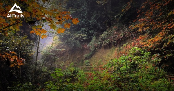 Burnaby Mountain Conservation Area