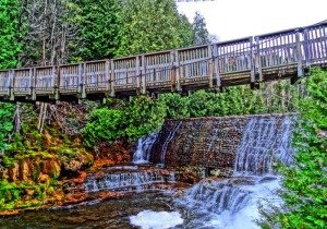 Belfountain Conservation Area