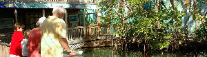 8 Night Bahamian Thanksgiving Cruise
