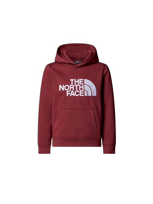 Hoodie - Felpa bambino - bordeaux THE NORTH FACE | NF0A8EHH0VO1