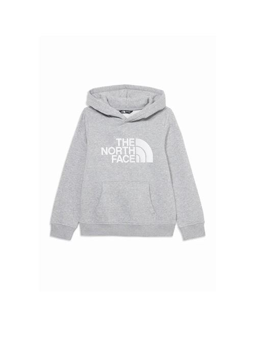 Hoodie - Felpa bambino - grigio THE NORTH FACE | NF0A8EHHDYX1