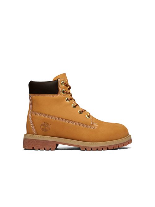 Premium 6-Inch - Stivaletto uomo - beige TIMBERLAND | TB110061713
