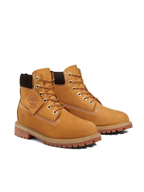 Premium 6-Inch - Stivaletto uomo - beige TIMBERLAND | TB110061713