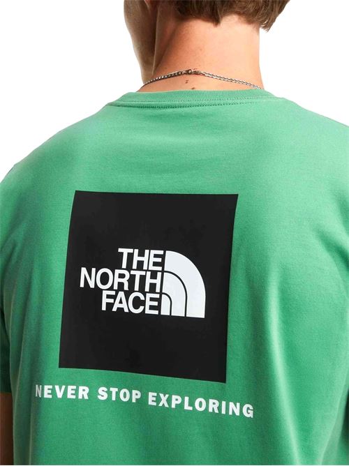 Evolution Regular - T-Shirt uomo - verde THE NORTH FACE | NF0A8B6KG571
