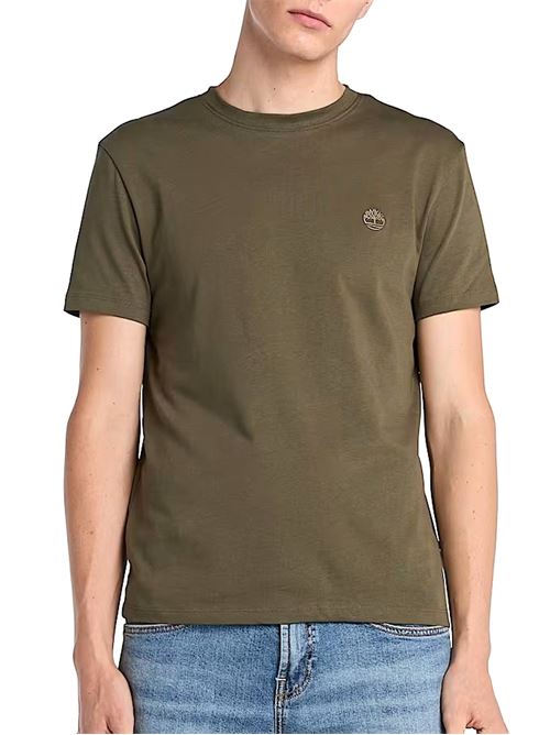 Dunstan River Tee - T-Shirt uomo - verde TIMBERLAND | TB0A2BPRAR51