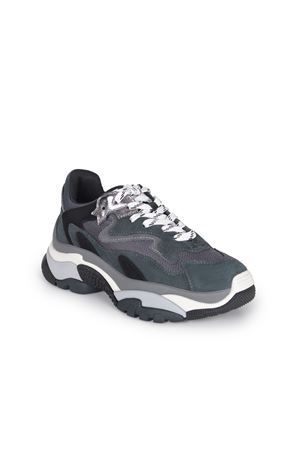 Ash Addict sneakers  ASH | Sneakers | ADDICT01GREYSTONE-BLACK