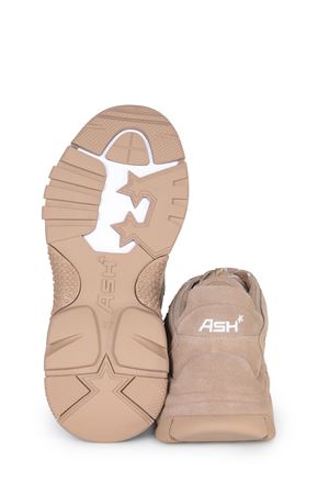 Ash Addict sneakers  ASH | Sneakers | ADDICTBIS03SUEDE NOISETTE